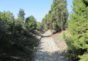 Santiago Creek Greenway