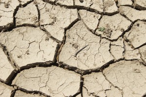 Extreme weather and drought can impact availability of water.