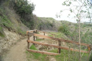 Fencing meant to keep people away from a landslide impacting a trail.