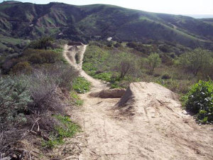 Do not rearrange the soil to create bike jumps.