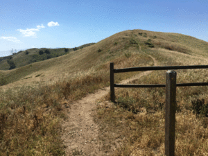 Unauthorized Chino Hills State Park Trail