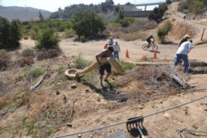 Park Volunteers - Santiago Oaks